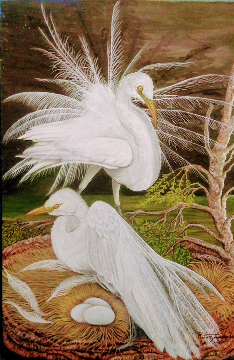 Nesting Egrets - Portrait Art