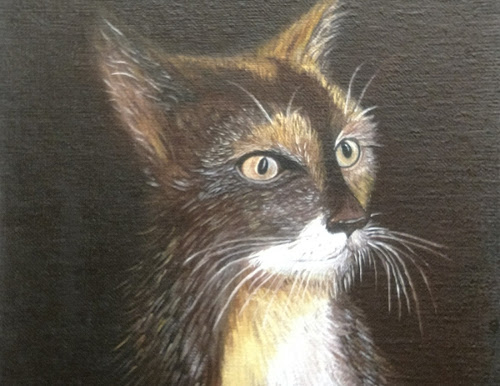 Free HTML5 Bootstrap Template by FreeHTML5.co